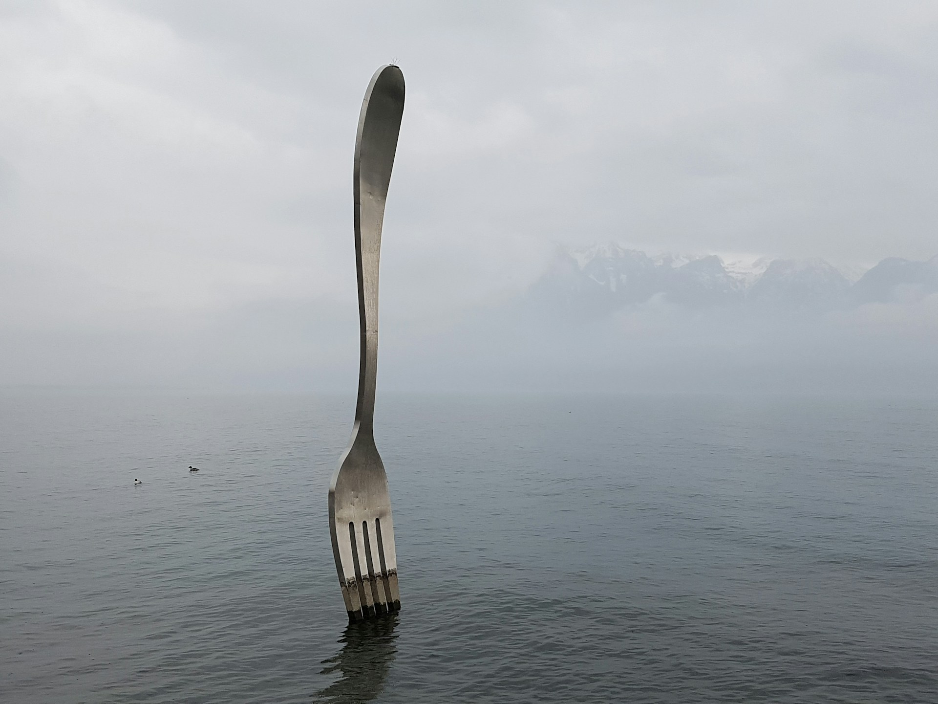 To Fork or Not to Fork